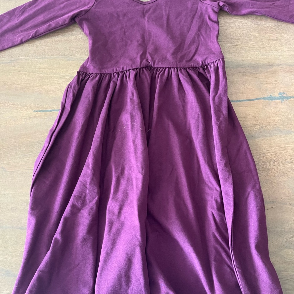 Beautiful Purple Alice and Ames Classic dress
